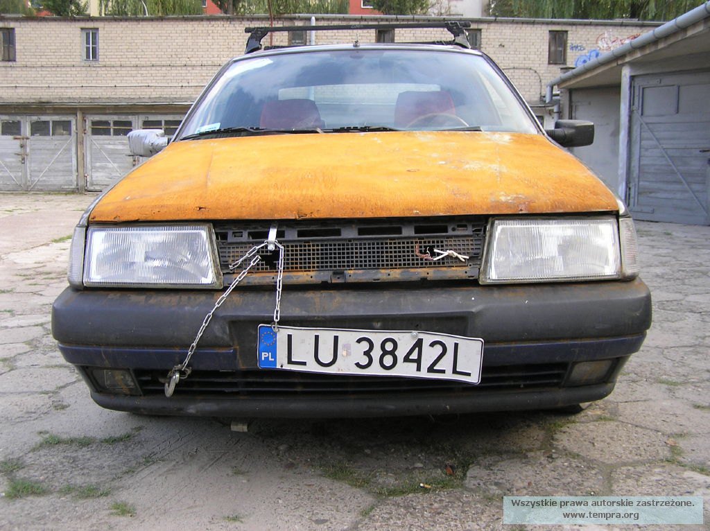 Jelcyn2