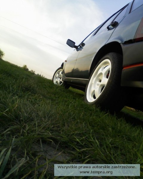 wistak2