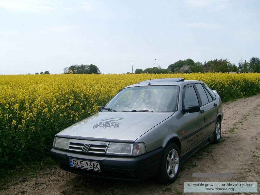 wiola3