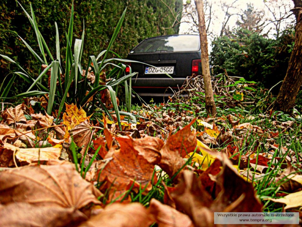 strzelba_2