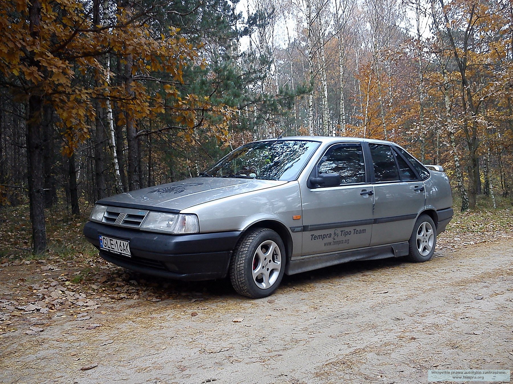 wiola_2