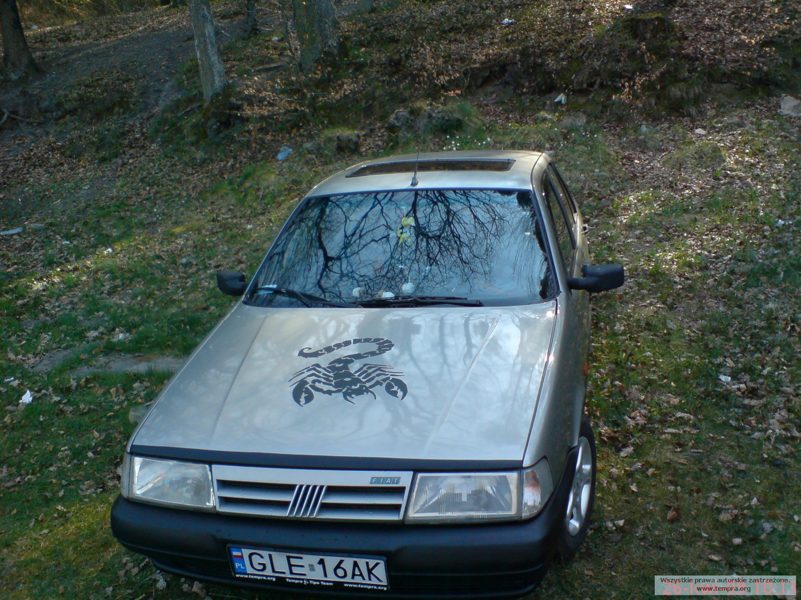 wiola 2
